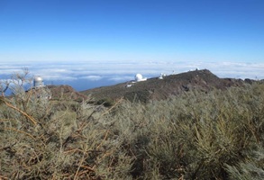 Auf dem höchsten Berg (ca. 2400 m) finden wir viele Ohren ins Weltall und Schneereste am Straßenrand.